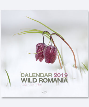 Calendar Wild Romania