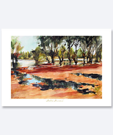 Acuarela Delta