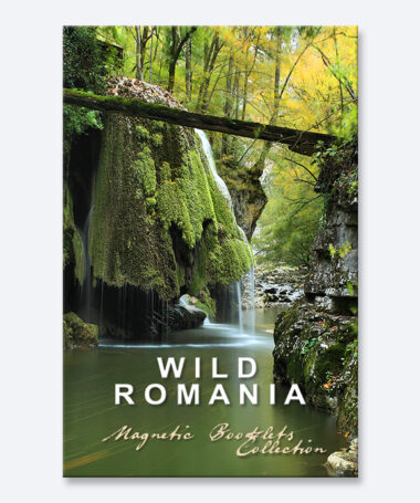 Carticica magnetica - Wild Romania