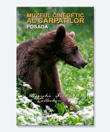 Carticica magnetica - Muzeul Cinegetic - Posada