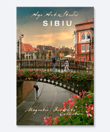Carticica magnetica - Sibiu