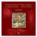Album Muzeul Grigore Antipa (15 x 15 cm)